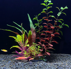 Artificial Aquarium Plant Plastic Fish Tank Decoration 18cm Water Plant