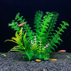 Artificial Aquarium Plant Plastic Fish Tank Decoration 18cm Water Plant