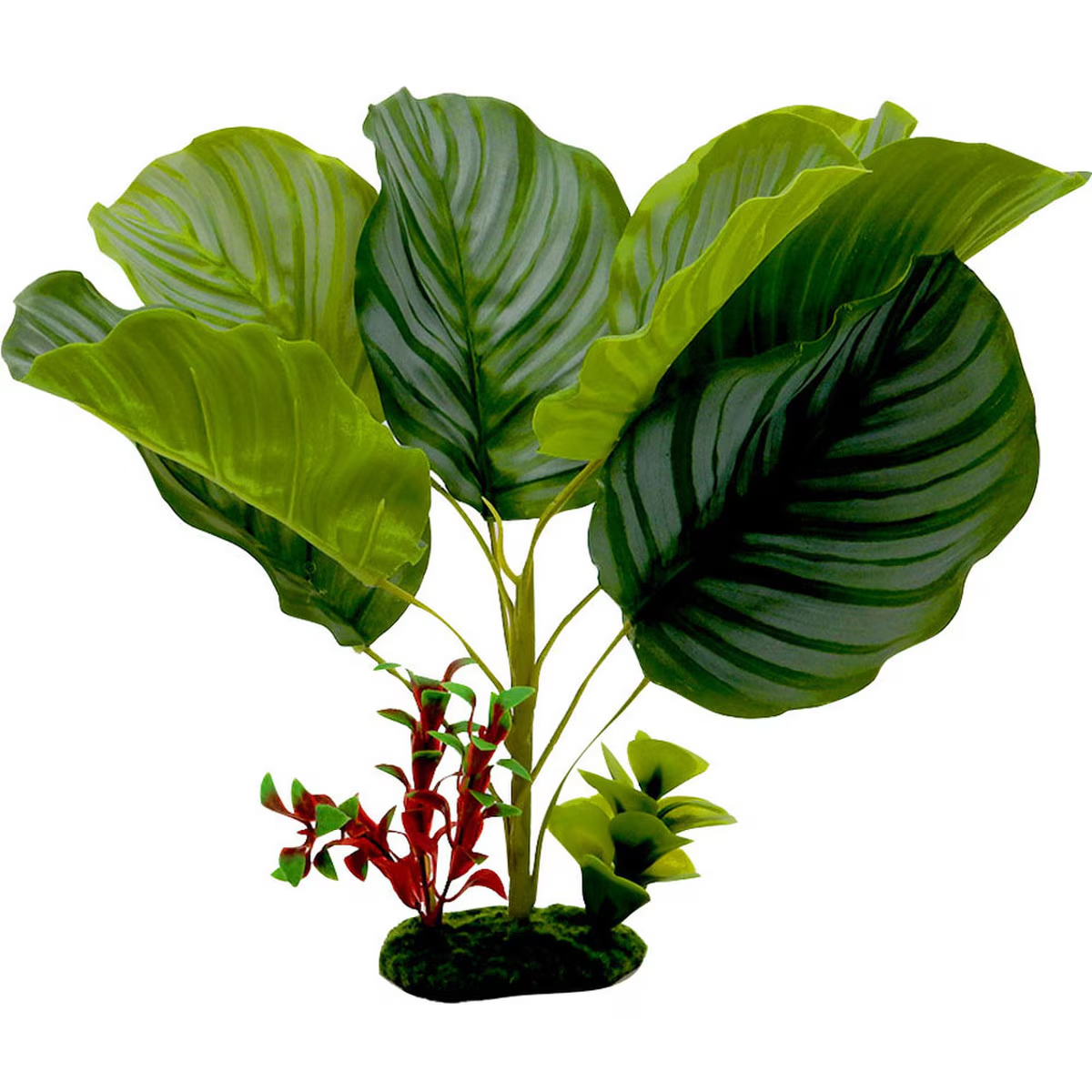 ColorBurst Florals Variegated Calathea Artificial Plant Tropical Garden Aquarium Terrarium Decor 13in