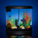 Fish tank with colorful plants and fish on a white background