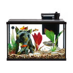 Fish tank with decorative elements and fish on a white background