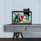 Fish tank with decorative elements on a metal stand against a light blue wall.