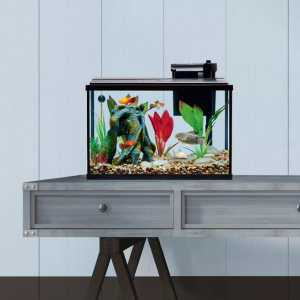 Fish tank with decorative elements on a metal stand against a light blue wall.