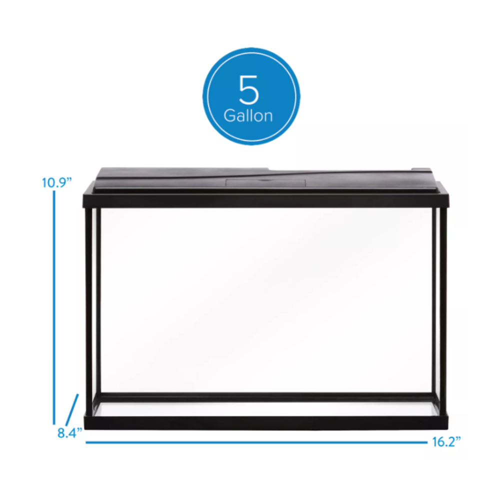 5-gallon aquarium with dimensions labeled on a white background