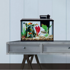 Fish tank with aquatic plants and fish on a metal stand against a light blue wall.