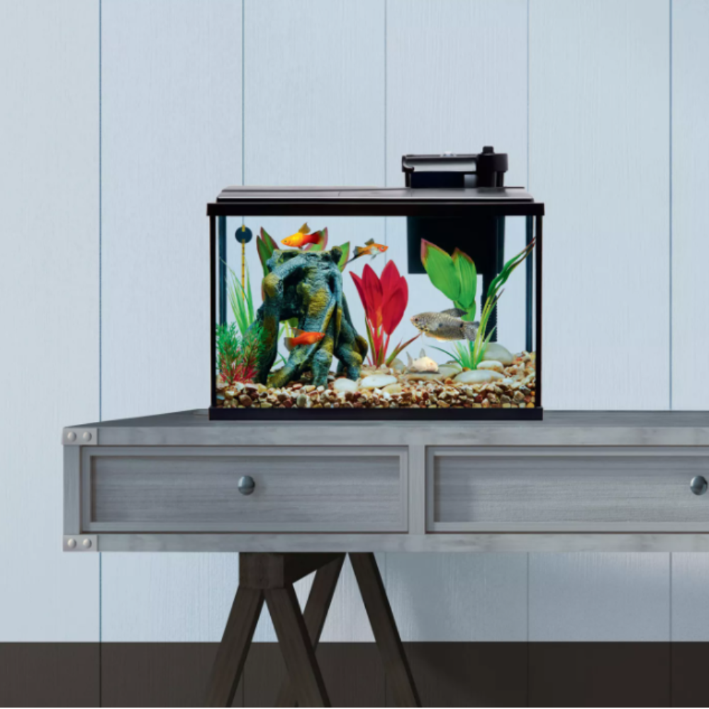 Fish tank with aquatic plants and fish on a metal stand against a light blue wall.
