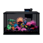 Fish tank with colorful plants and fish on a white background
