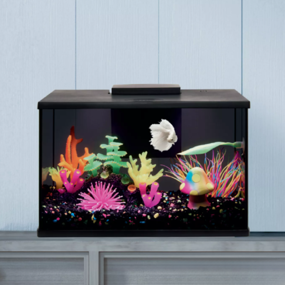 Fish tank with colorful decorations and fish on a light blue background