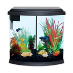 Fish tank with colorful plants and fish on a white background