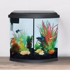Small aquarium with fish and plants on a wooden surface