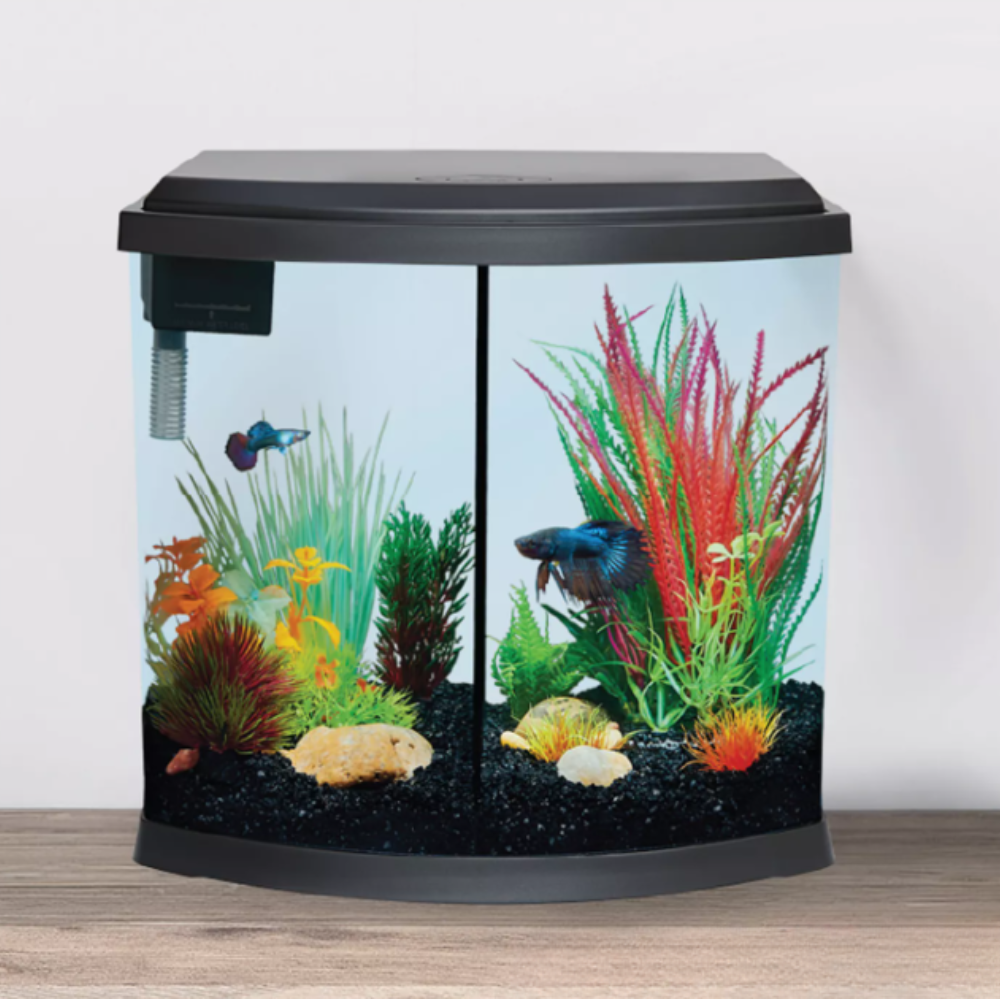 Small aquarium with fish and plants on a wooden surface